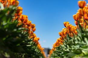 image from El futuro de las criptomonedas