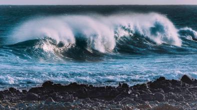 image from Normalmente exagerado